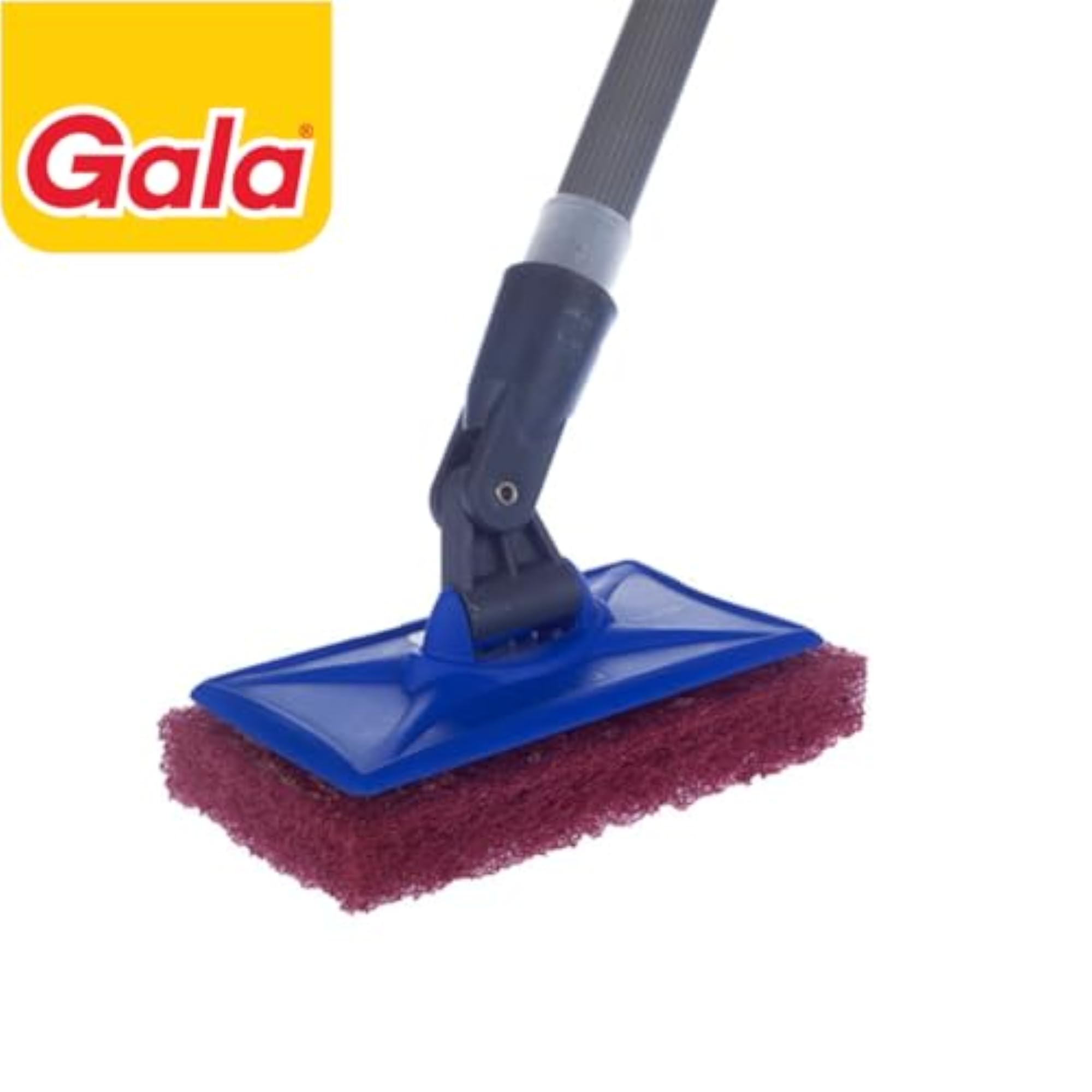 Scrubber with Long Handle